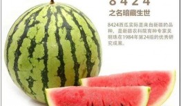 体育圈的瓜是什么意思.临朐网红大玲子事件,临朐网红大玲子事件引发全网关注